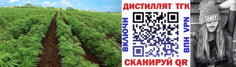 ТГК Wax Долгопрудный
