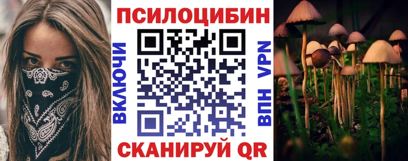 Псилоцибиновые грибы Cubensis  где купить наркотик  мега   Долгопрудный 
