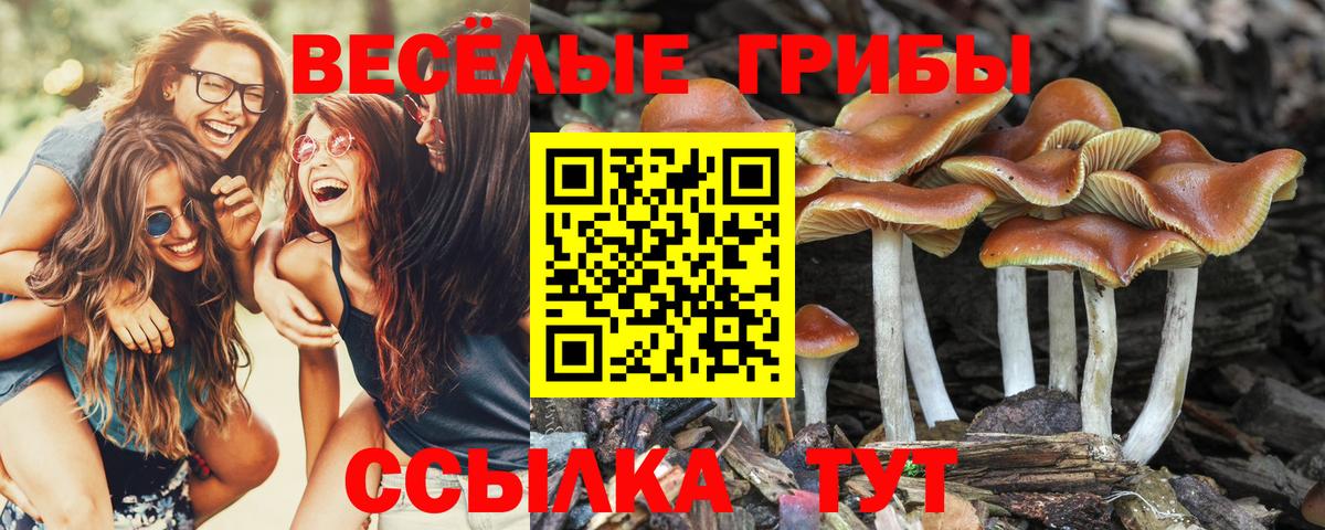 Долгопрудный  МЕТАДОН  MDMA  Гашиш  Меф кристаллы  A-PVP СК   Экстази  МАРИХУАНА  Мефедрон  